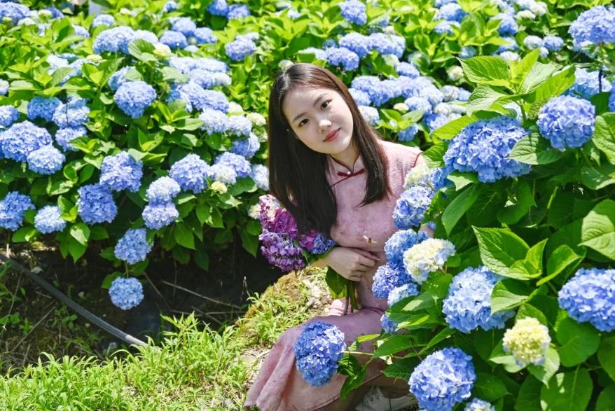 浪漫！福州版宫崎骏动画里的花海！