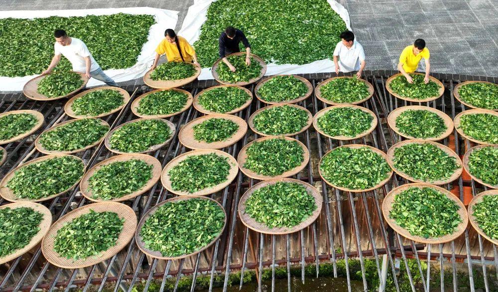 首批名单发布！与二锅头、螺狮粉一同入选的是福建的……