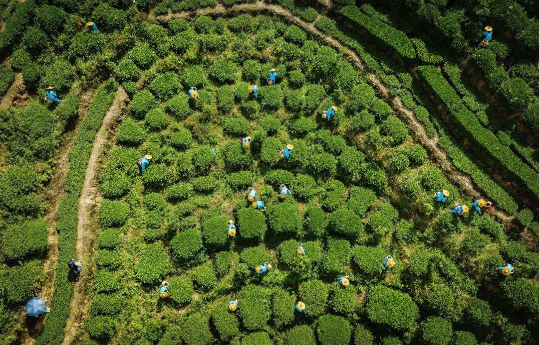 首批名单发布！与二锅头、螺狮粉一同入选的是福建的……