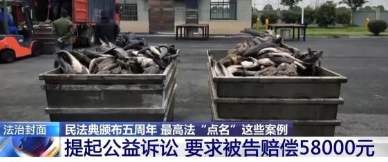 女子为祈福放生2.5万斤外来鲇鱼