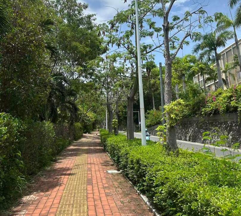 男友还原女子在三亚被蛇咬身亡过程