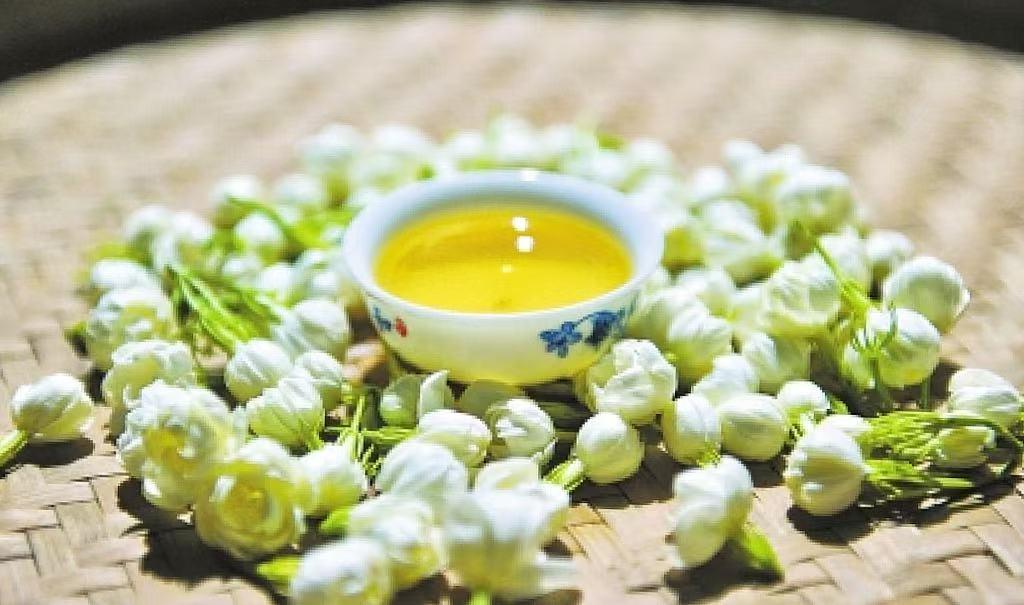 来福州 吃茉莉花茶去