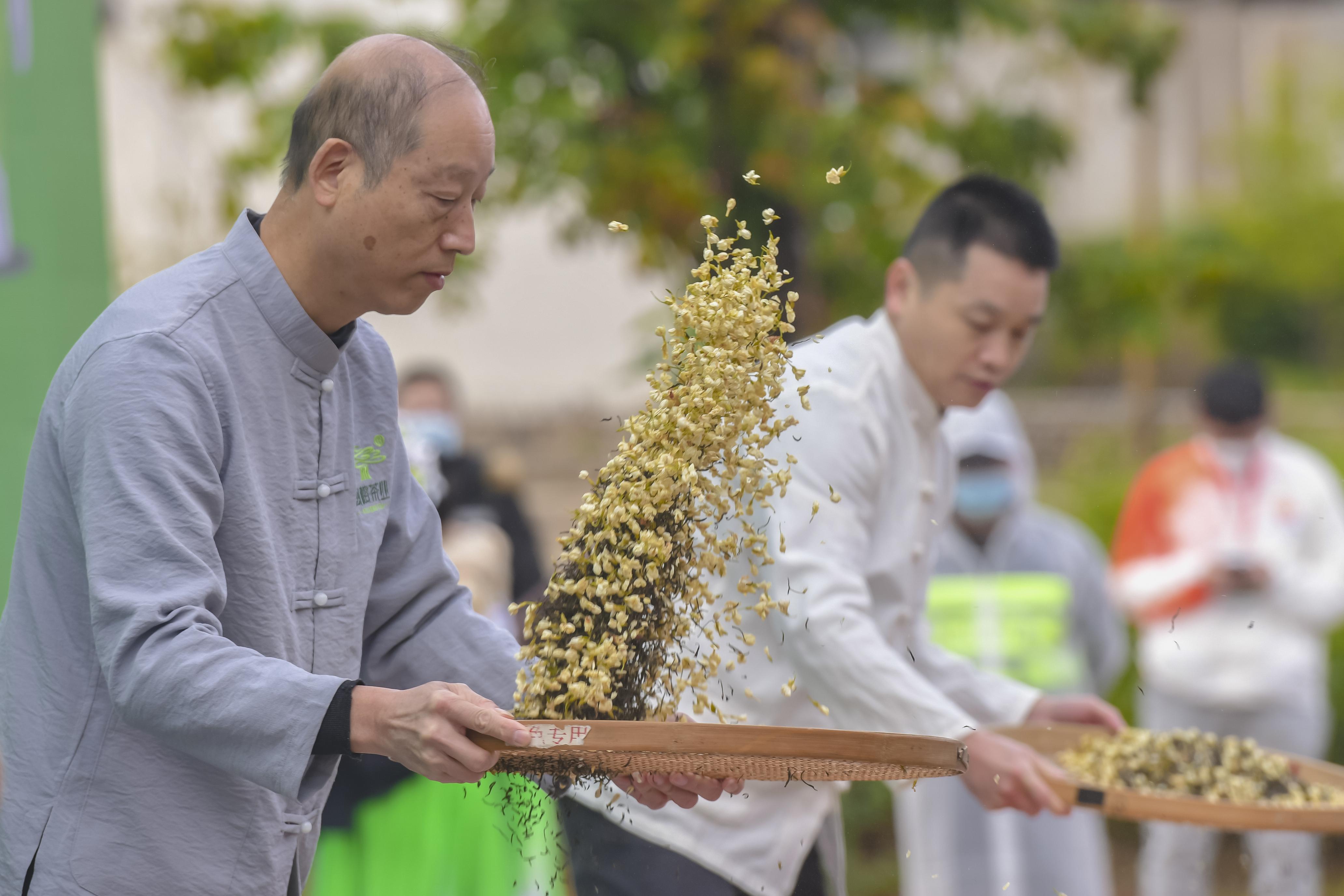 来福州 吃茉莉花茶去