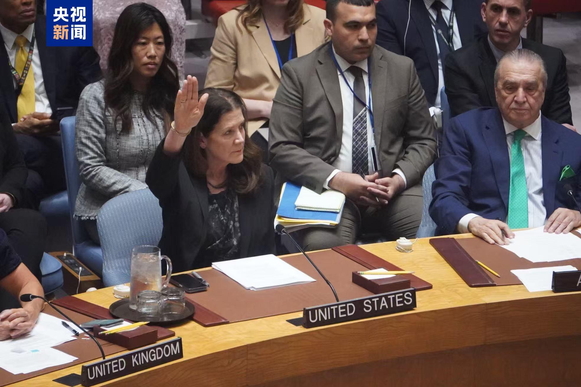 安理会加沙人道主义决议草案遭美国一票否决