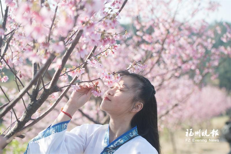 罗源北山村：打造乡村振兴新样板