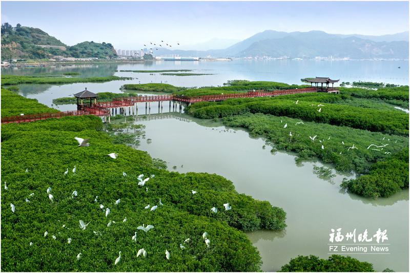 罗源北山村：打造乡村振兴新样板