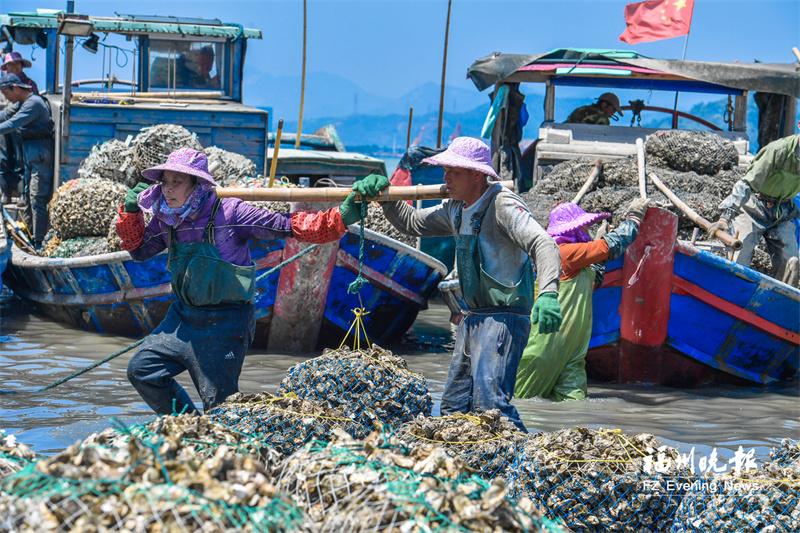 罗源北山村：打造乡村振兴新样板