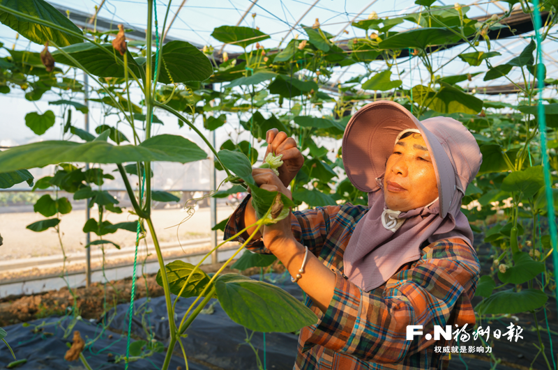 探索与实践｜科技创新推动福州市乡村全面振兴