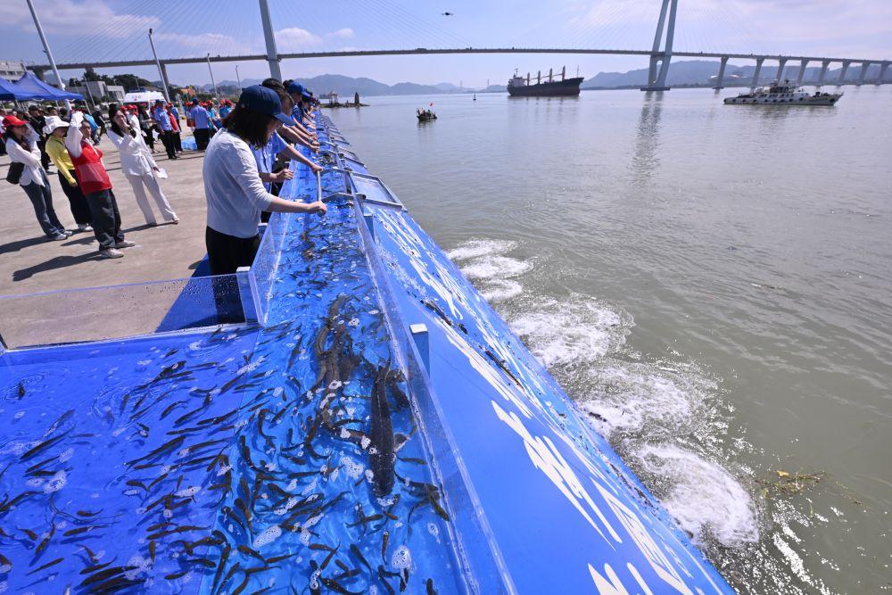 全国水生生物同步增殖放流主会场活动在福州举行