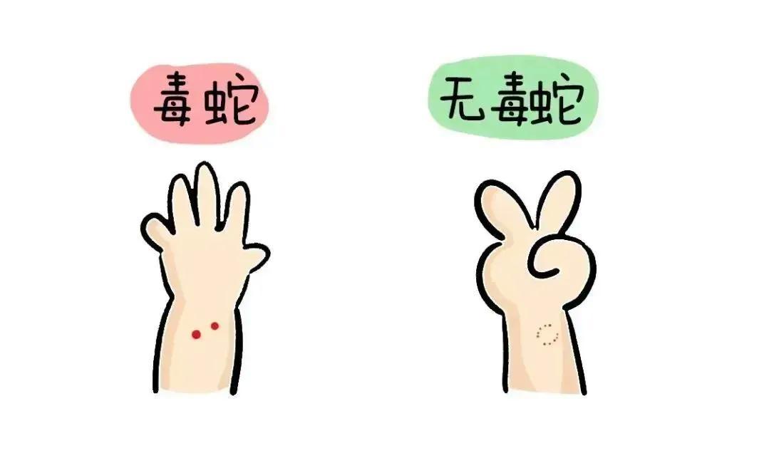 男子被毒蛇咬伤 忍痛去抓又来一口_天下_新闻频道_福州新闻网