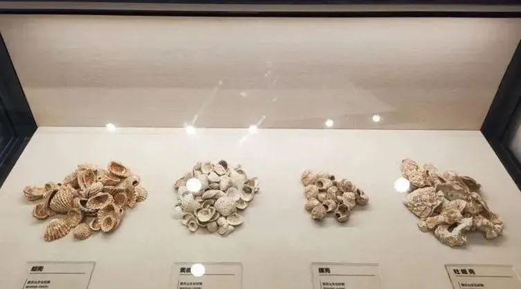 福建的“蓝色星辰”，就藏在这些遗址里……