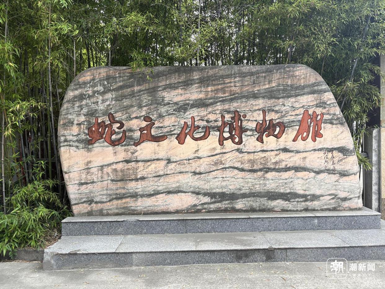 浙江一村40多户养了上百万条蛇