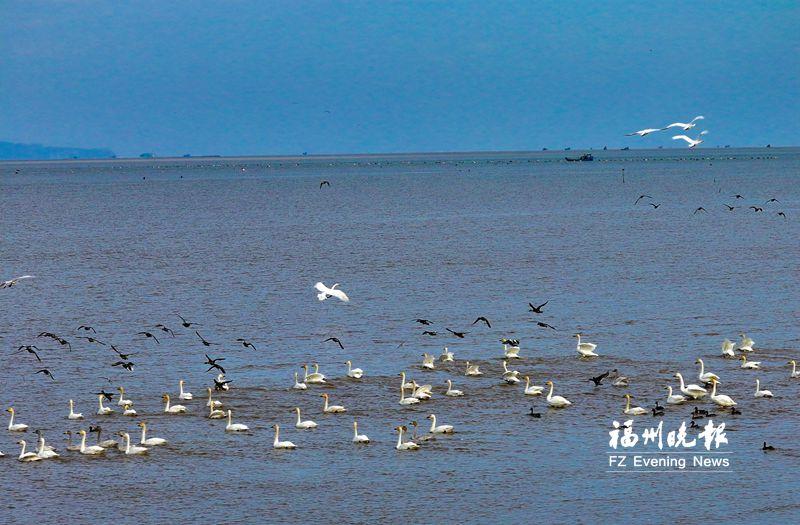 做好“海的文章” 福州交出“高分卷”