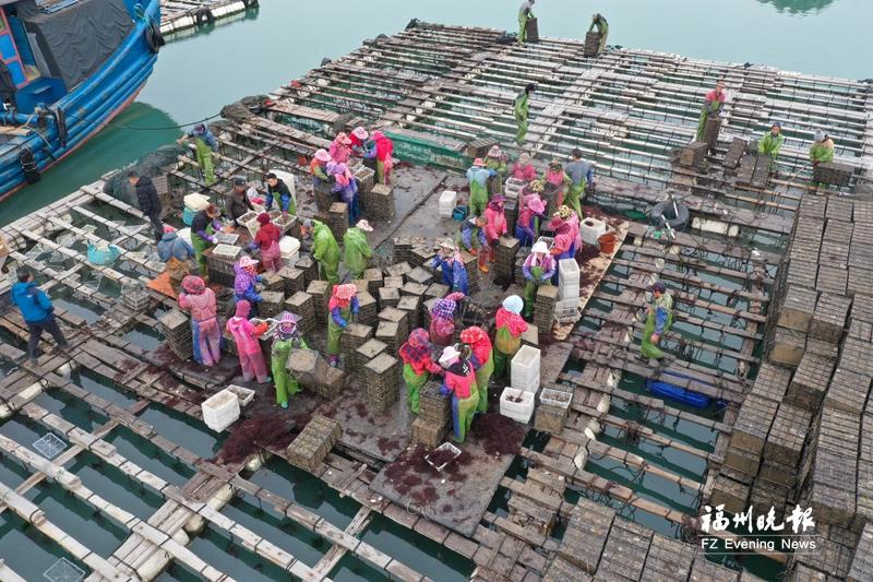 做好“海的文章” 福州交出“高分卷”