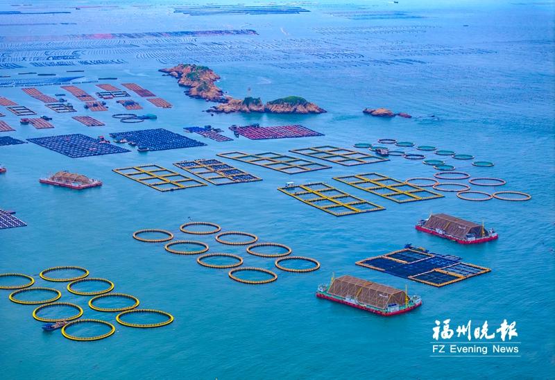 做好“海的文章” 福州交出“高分卷”