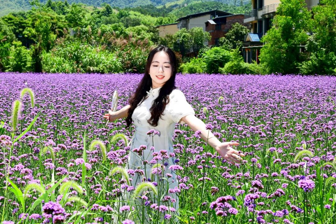 藏不住了!近两百亩!在福州限时上线 藏不住了!近两百亩!在福州限时上线