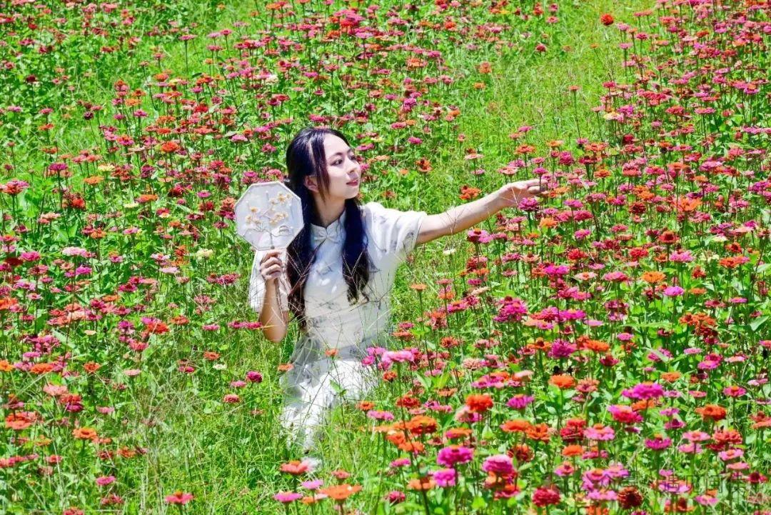 来福州,赴一场盛夏花事! 来福州,赴一场盛夏花事!