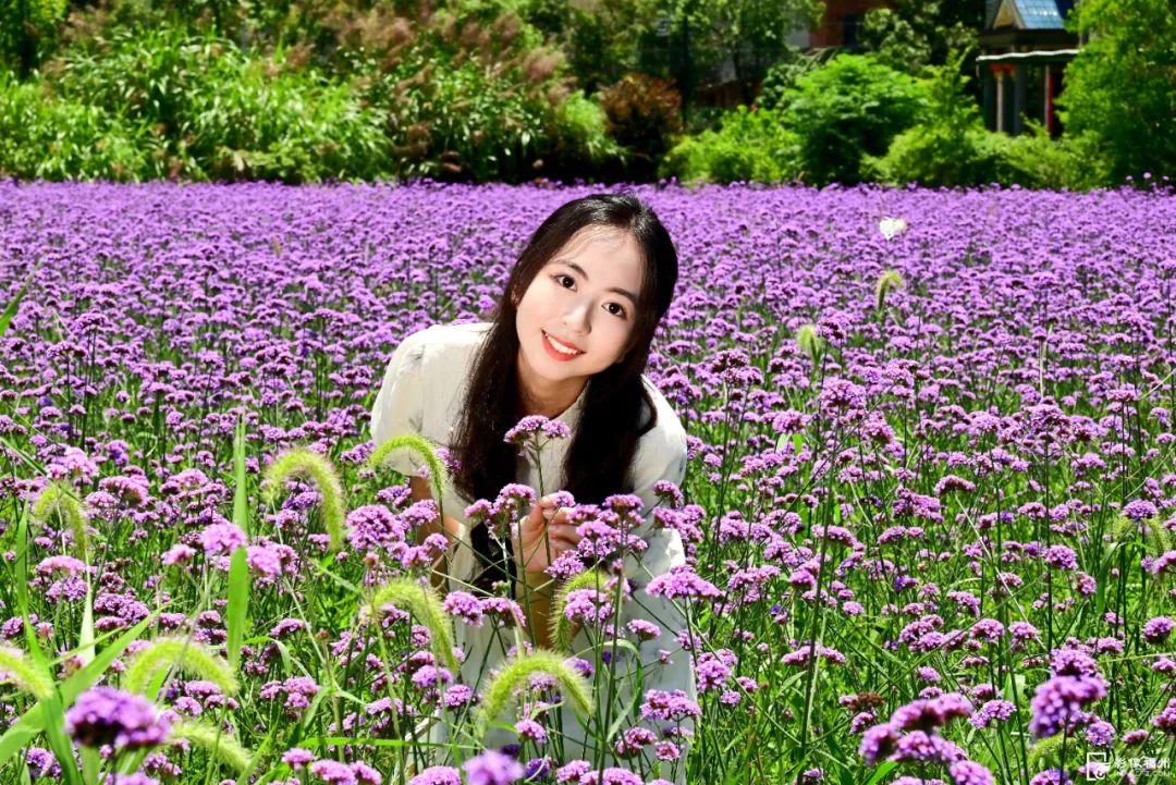来福州,赴一场盛夏花事! 来福州,赴一场盛夏花事!
