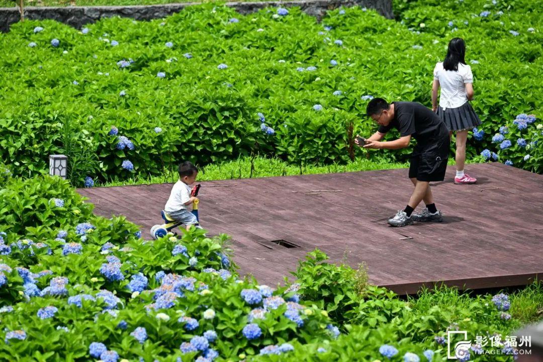 来福州,赴一场盛夏花事! 来福州,赴一场盛夏花事!