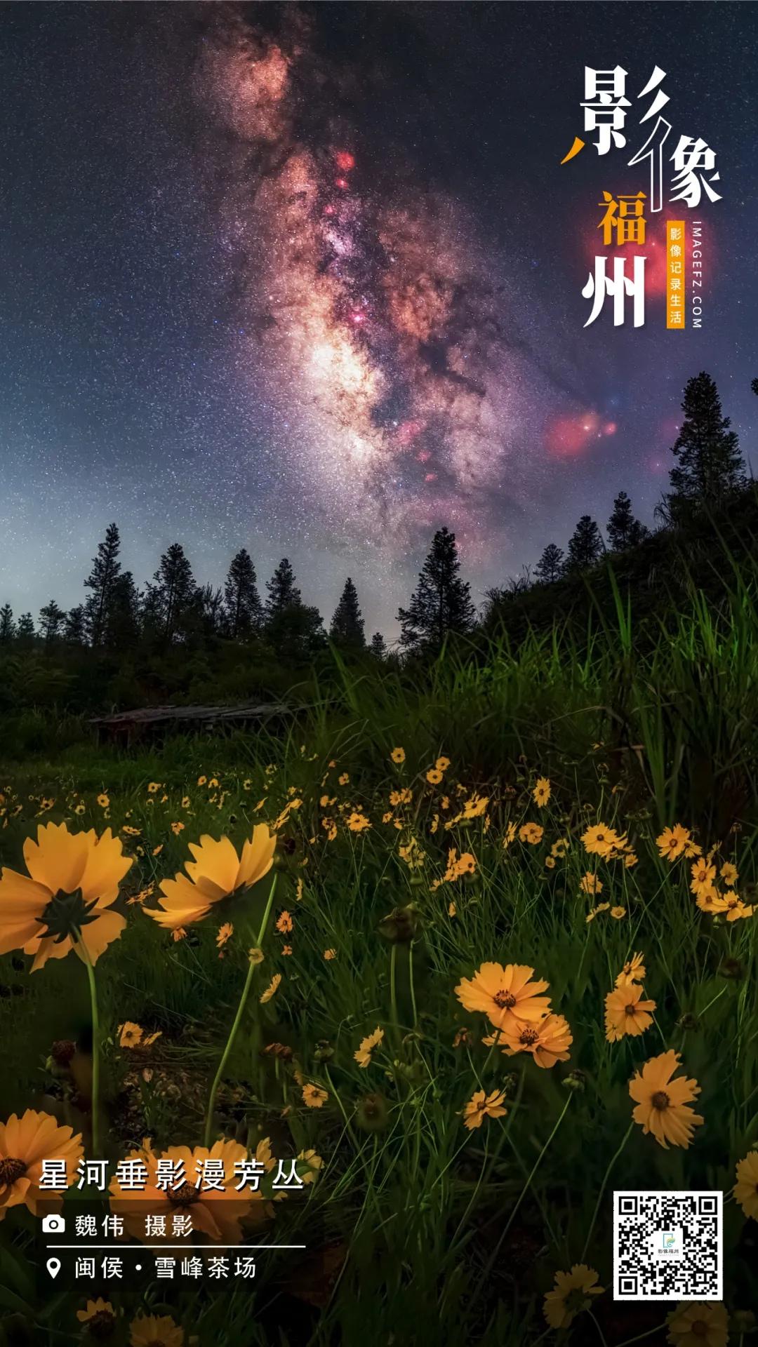 影像福州｜星河垂影漫芳丛