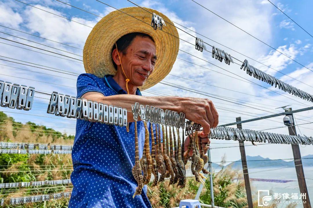 福州人有口福了！夏日美味大量上市
