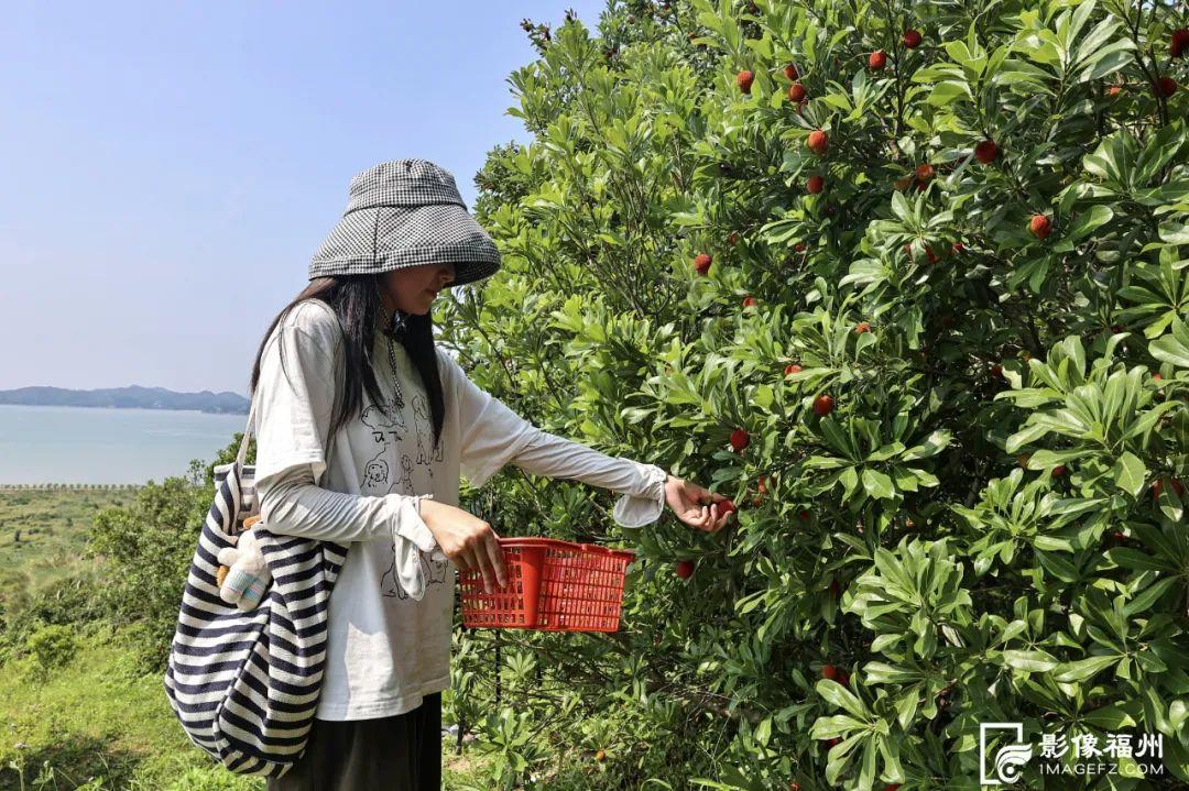 福州人有口福了！夏日美味大量上市