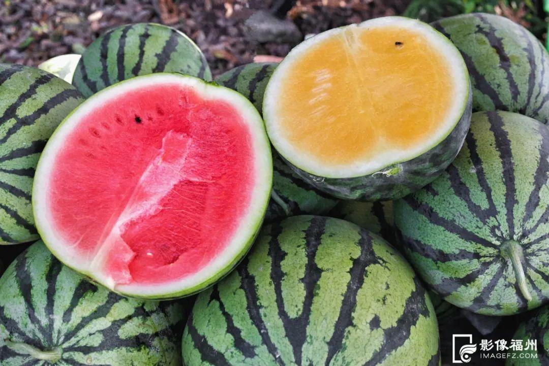 福州人有口福了！夏日美味大量上市