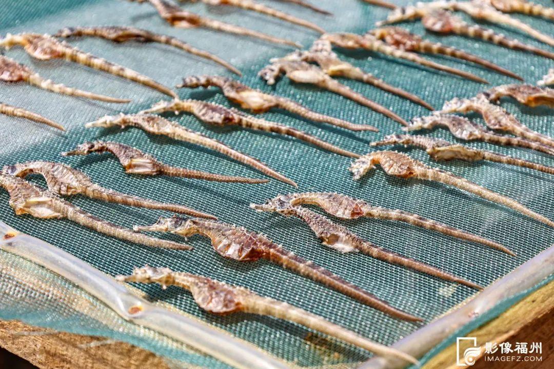 福州人有口福了！夏日美味大量上市