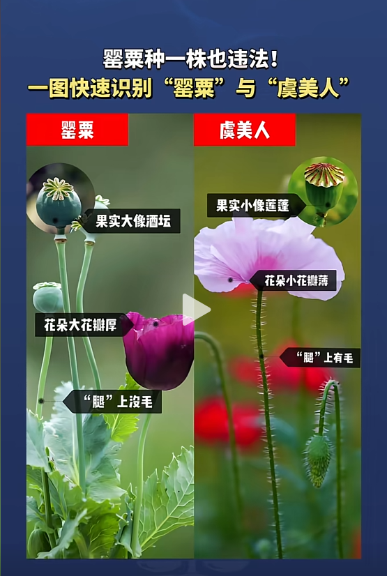 小孩哥稚笔手写“举报信”，民警：盖章回信，公开表扬！
