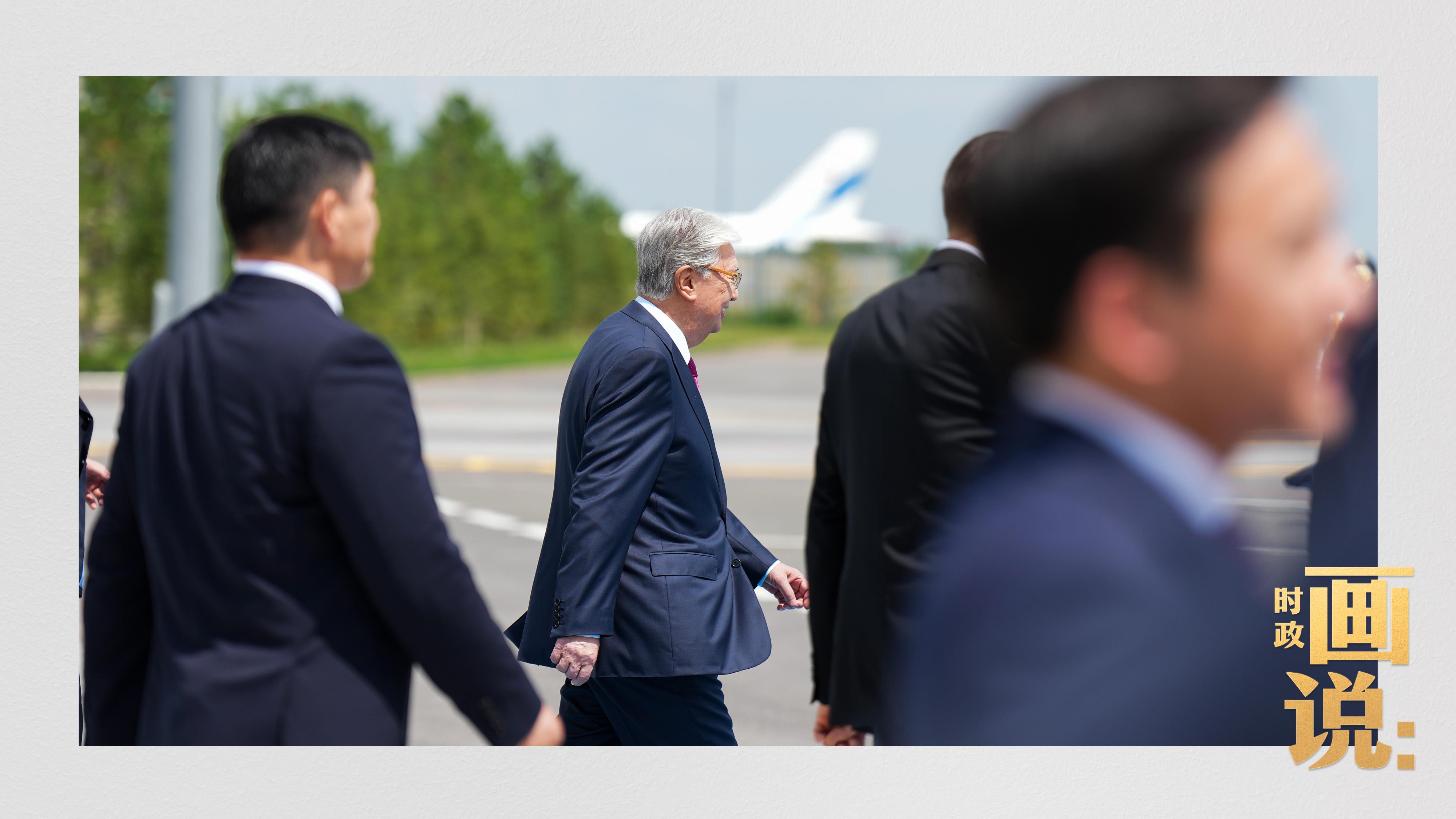 时政画说丨又到石榴花开时