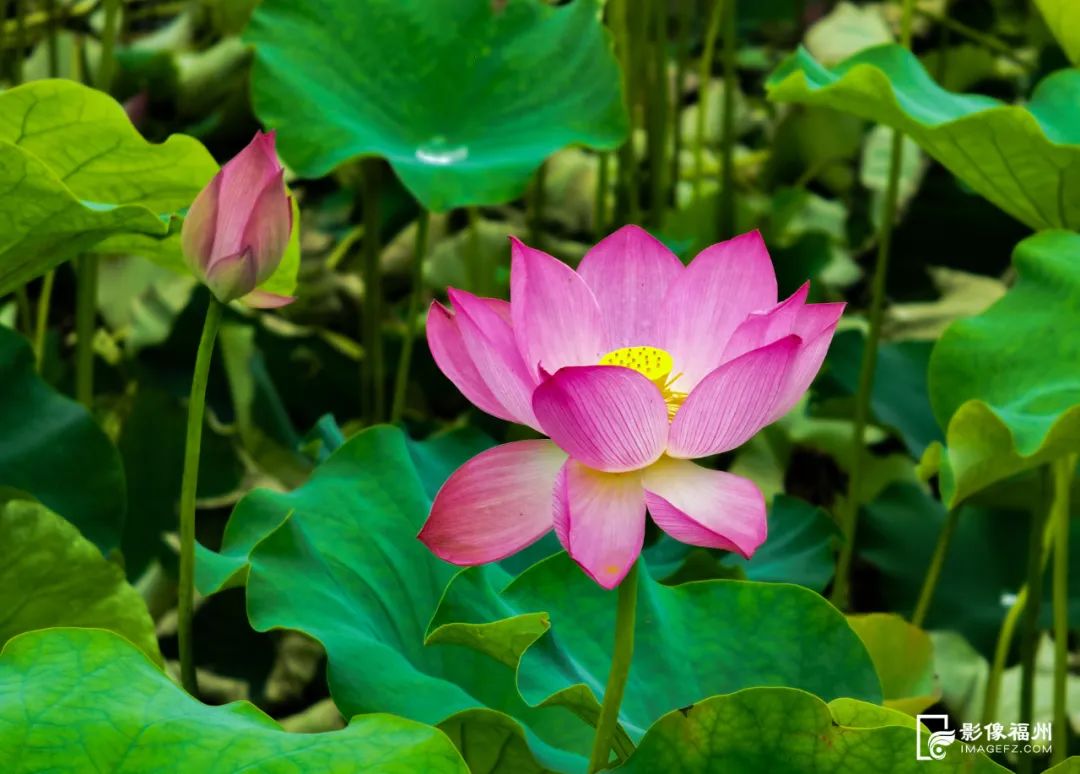 福州“花花世界”来了!地铁直达! 福州“花花世界”来了!地铁直达!