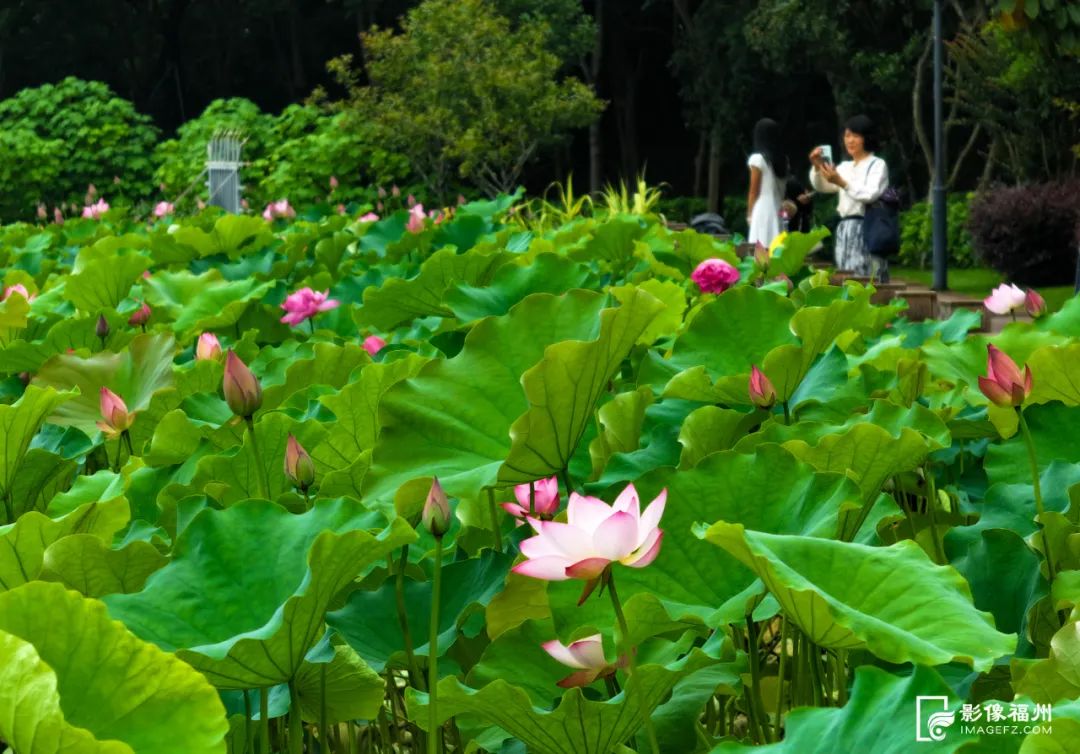 福州“花花世界”来了!地铁直达! 福州“花花世界”来了!地铁直达!