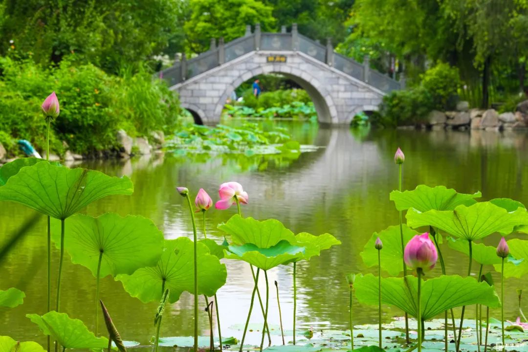 福州“花花世界”来了!地铁直达! 福州“花花世界”来了!地铁直达!