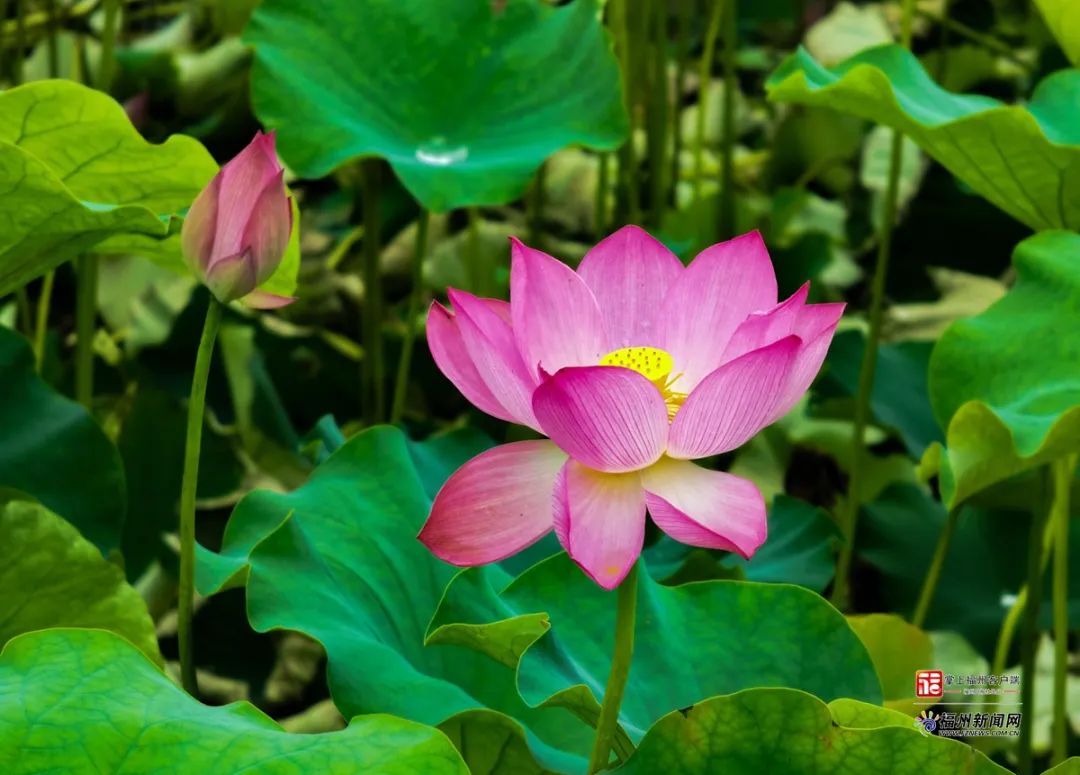 福州“花花世界”来了!地铁直达! 福州“花花世界”来了!地铁直达!