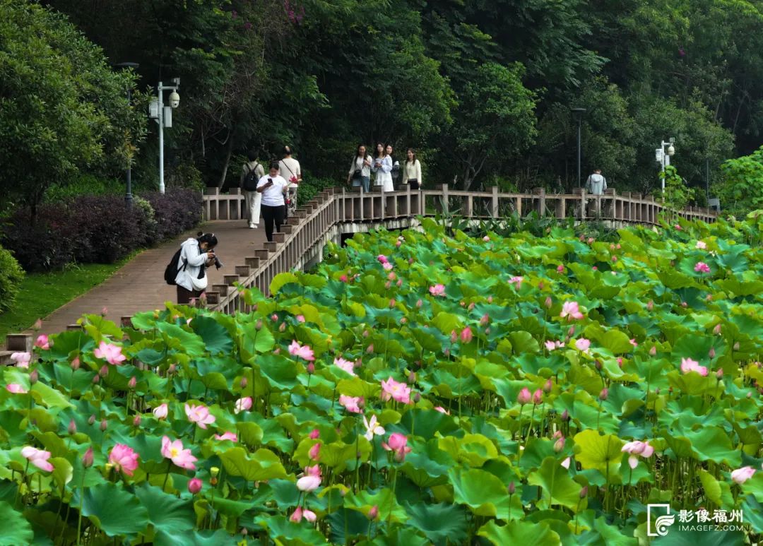 福州“花花世界”来了!地铁直达! 福州“花花世界”来了!地铁直达!