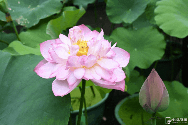 福州“花花世界”来了!地铁直达! 福州“花花世界”来了!地铁直达!