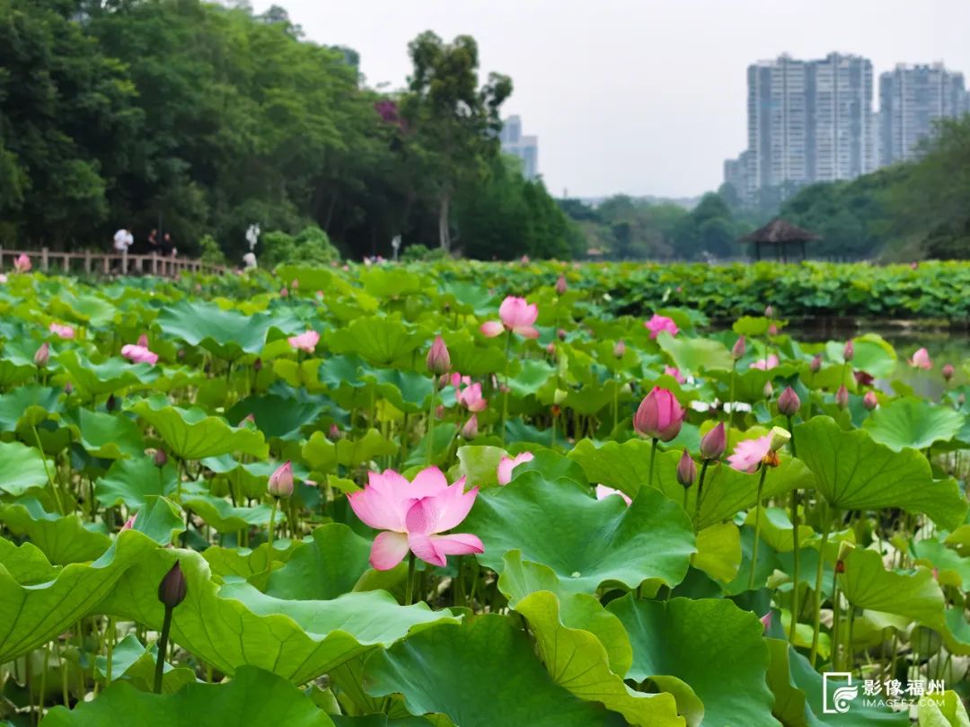 福州“花花世界”来了!地铁直达! 福州“花花世界”来了!地铁直达!