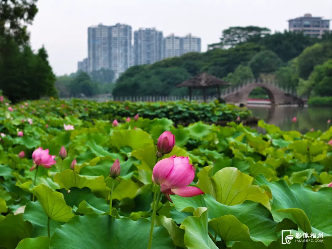 福州“花花世界”来了!地铁直达! 福州“花花世界”来了!地铁直达!