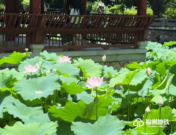 福州“花花世界”来了!地铁直达! 福州“花花世界”来了!地铁直达!