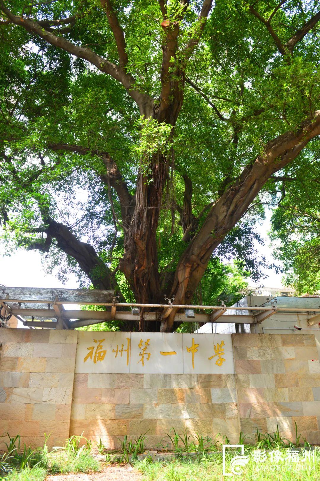 沾福气！福州这些书院“盛产”学霸