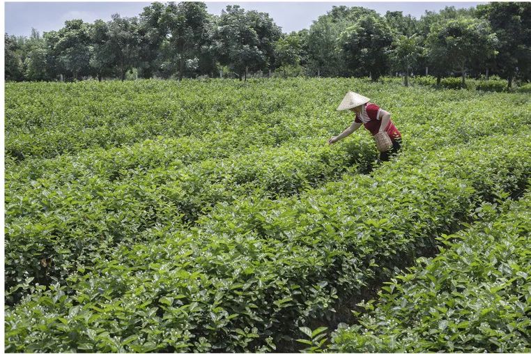 暑假进度条：■□□□□□