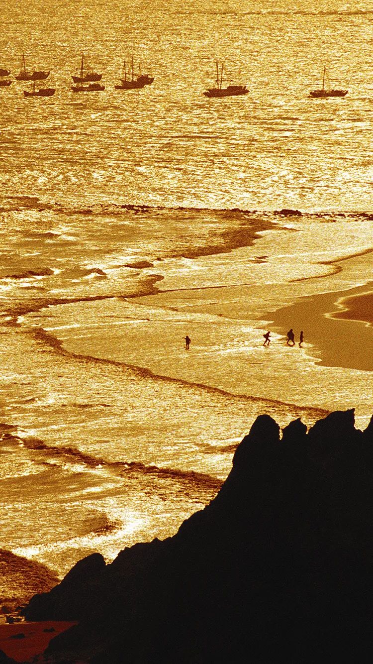 暑假进度条：■□□□□□