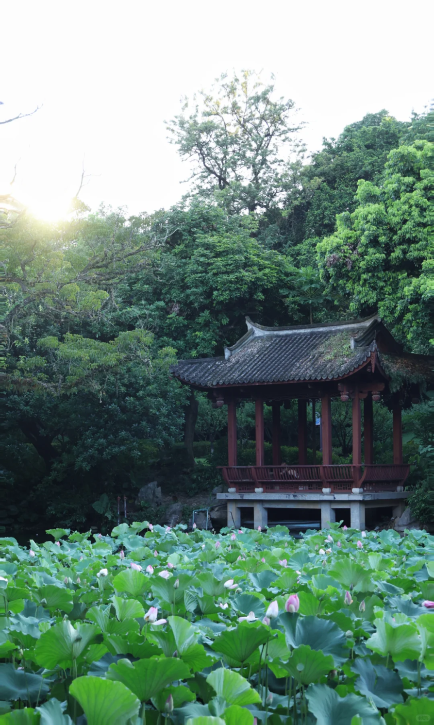 暑假进度条：■□□□□□