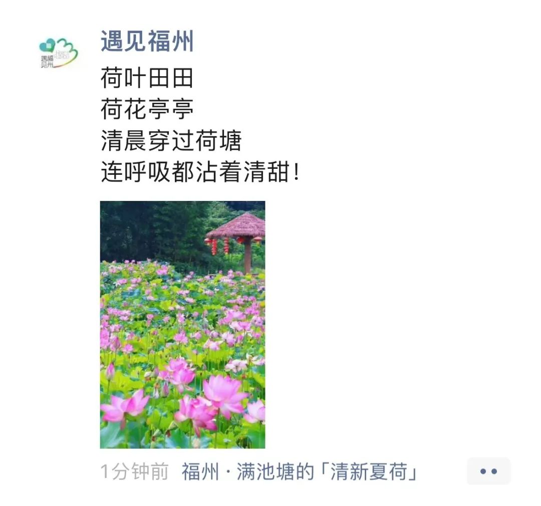 暑假进度条：■□□□□□