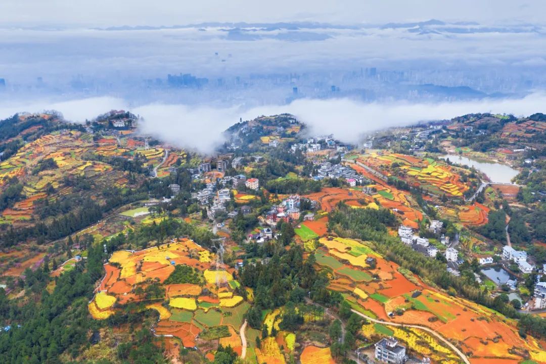 暑假进度条：■□□□□□