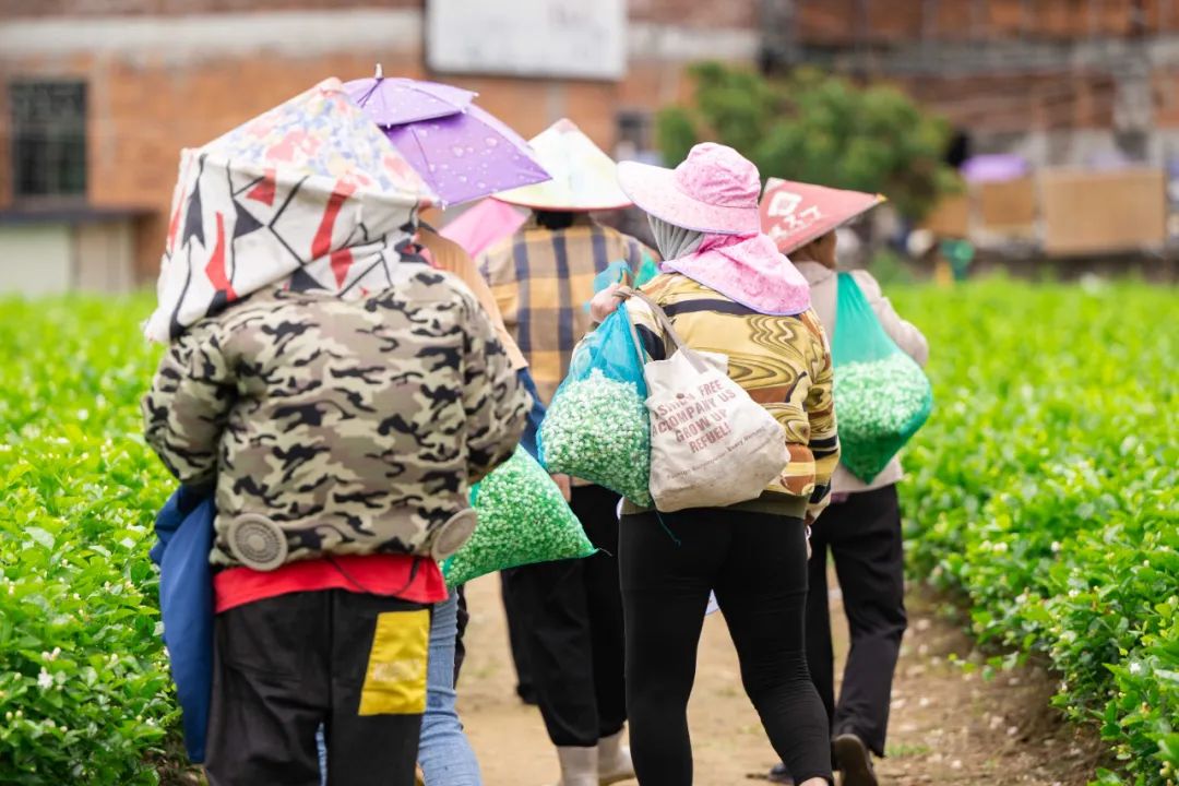 太香了！福州人都爱它！