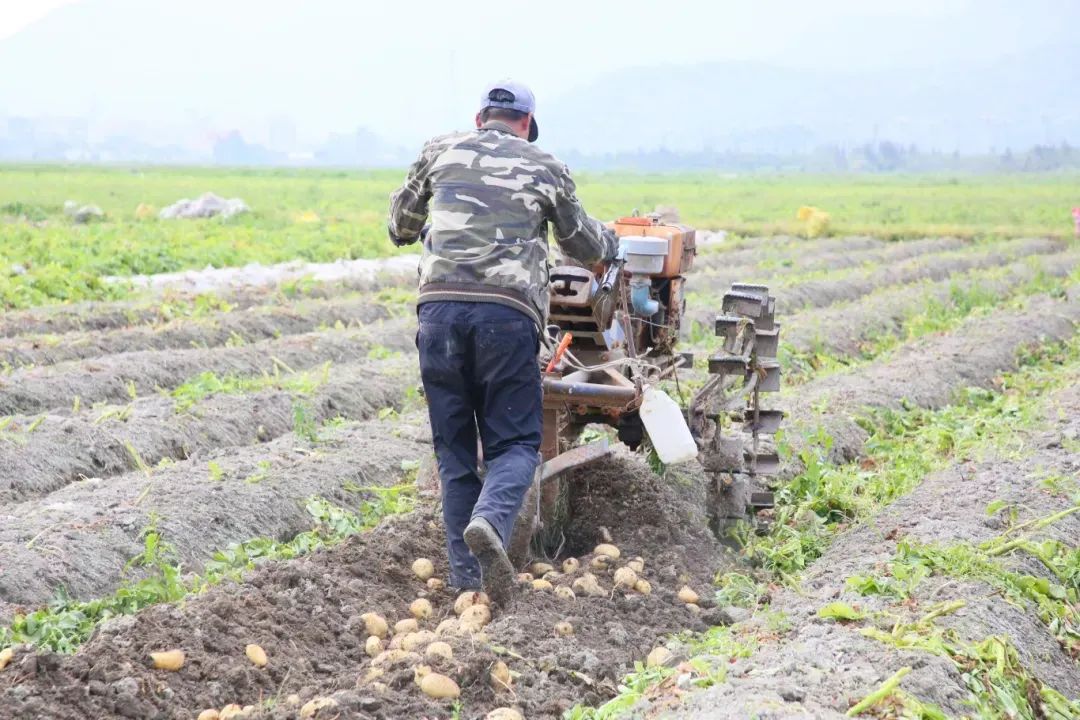 科技日报聚焦长乐：数字科技与农业深度融合 描绘乡村振兴新图景