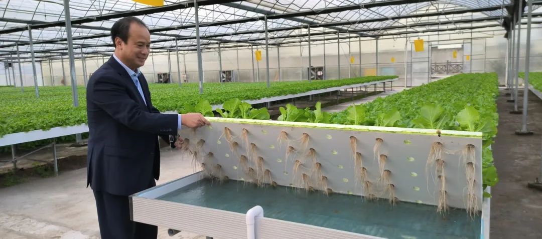 科技日报聚焦长乐：数字科技与农业深度融合 描绘乡村振兴新图景