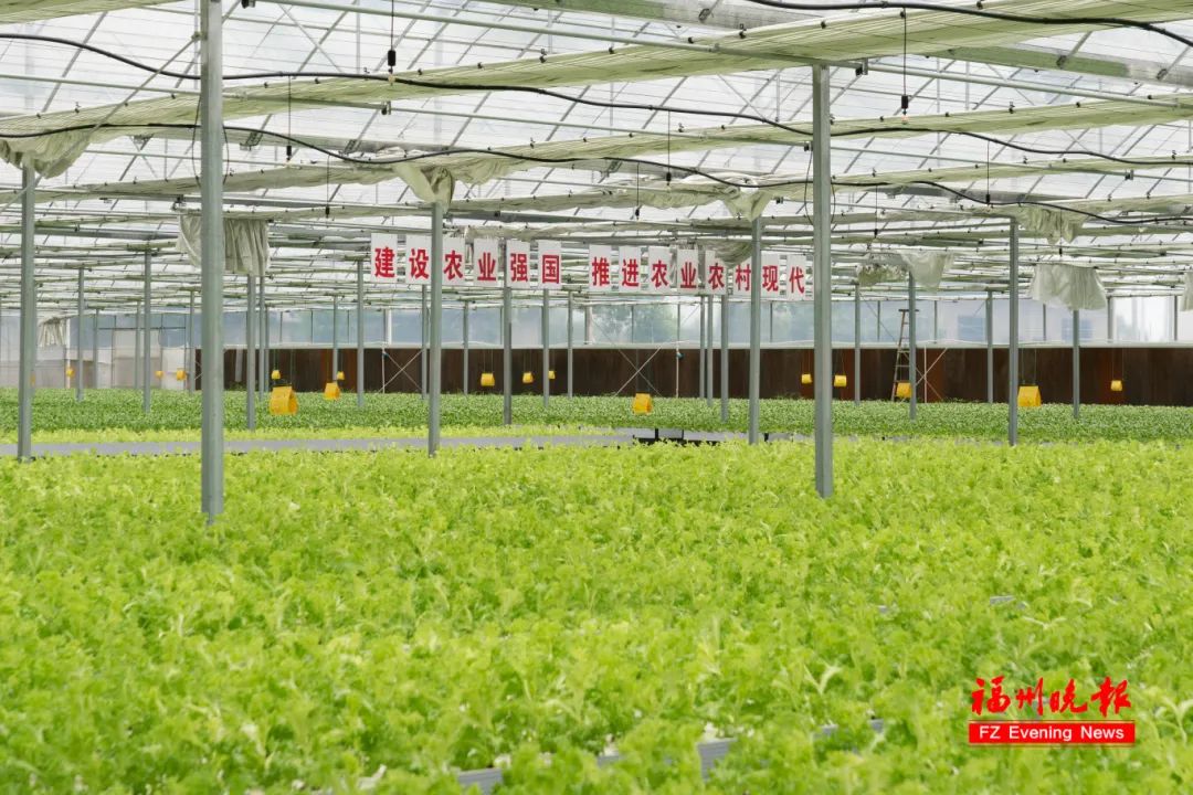 科技日报聚焦长乐：数字科技与农业深度融合 描绘乡村振兴新图景