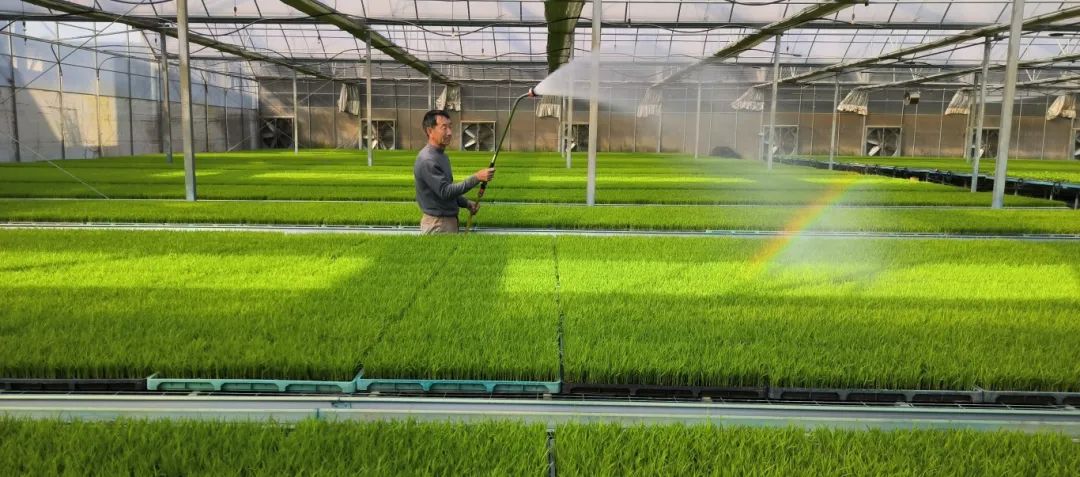 科技日报聚焦长乐：数字科技与农业深度融合 描绘乡村振兴新图景